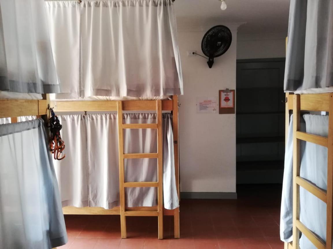 Backpackers Inn ميديلين المظهر الخارجي الصورة